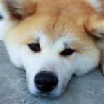 何もかもうまくいかない…、そんなときに思い出したいこと